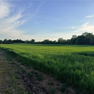 Photo #5 of Powell, Woodleaf, NC 20.3 acres