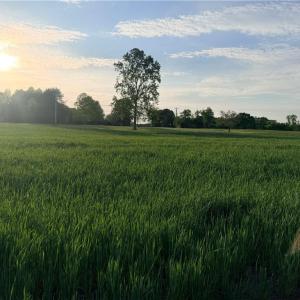 Photo #9 of Powell, Woodleaf, NC 20.3 acres