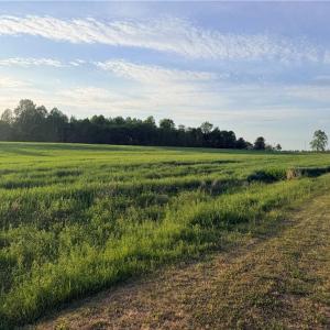 Photo #4 of Powell, Woodleaf, NC 20.3 acres