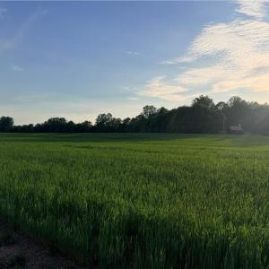 Photo #8 of Powell, Woodleaf, NC 20.3 acres