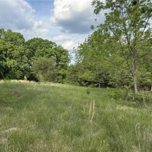 Photo #6 of 2690 Old Mountain, Trinity, NC 32.7 acres