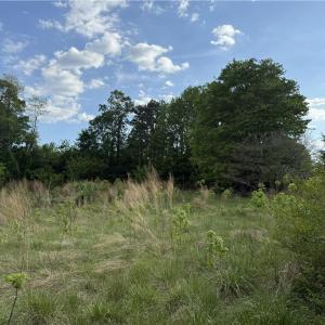 Photo #7 of 2690 Old Mountain, Trinity, NC 32.7 acres