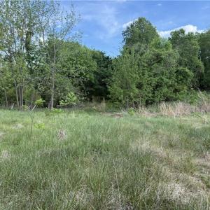 Photo #5 of 2690 Old Mountain, Trinity, NC 32.7 acres
