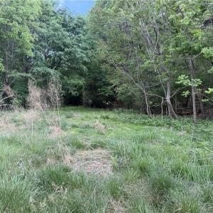 Photo #8 of 2690 Old Mountain, Trinity, NC 32.7 acres