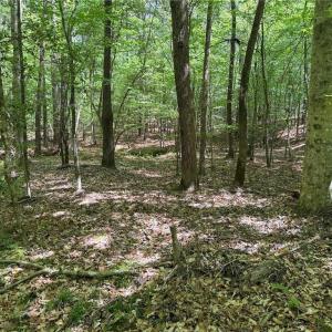 Photo #3 of Lot 6 Thompson, Seagrove, NC 11.5 acres