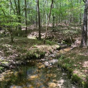 Photo #1 of Lot 6 Thompson, Seagrove, NC 11.5 acres