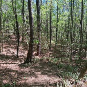 Photo #9 of Lot 6 Thompson, Seagrove, NC 11.5 acres
