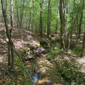 Photo #4 of Lot 6 Thompson, Seagrove, NC 11.5 acres