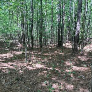 Photo #8 of Lot 6 Thompson, Seagrove, NC 11.5 acres