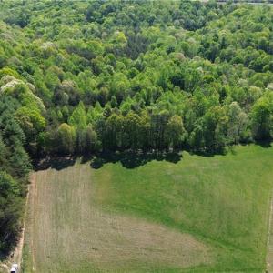 Photo #2 of Tom Mix, Westfield, NC 9.9 acres