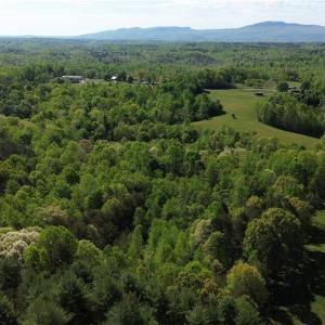 Photo #6 of Tom Mix, Westfield, NC 9.9 acres