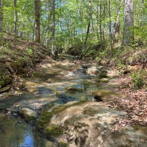 Photo #13 of Tom Mix, Westfield, NC 9.9 acres