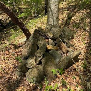 Photo #17 of Tom Mix, Westfield, NC 9.9 acres