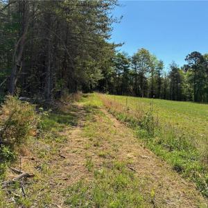 Photo #7 of Tom Mix, Westfield, NC 9.9 acres