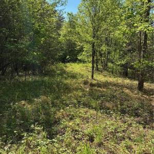 Photo #9 of Tom Mix, Westfield, NC 9.9 acres