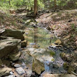 Photo #15 of Tom Mix, Westfield, NC 9.9 acres