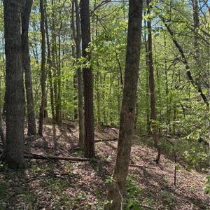 Photo #11 of Tom Mix, Westfield, NC 9.9 acres