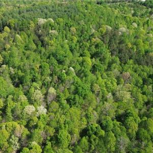 Photo #4 of Tom Mix, Westfield, NC 9.9 acres