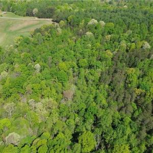 Photo #5 of Tom Mix, Westfield, NC 9.9 acres