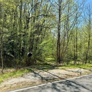 Photo #2 of 3311 NC Highway 66, Westfield, NC 62.3 acres