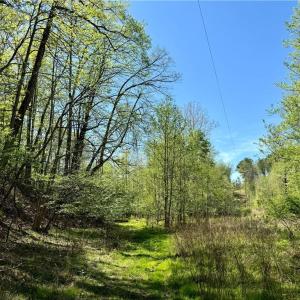 Photo #3 of 3311 NC Highway 66, Westfield, NC 62.3 acres