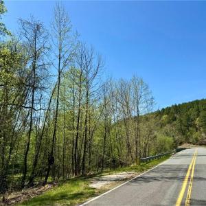 Photo #1 of 3311 NC Highway 66, Westfield, NC 62.3 acres