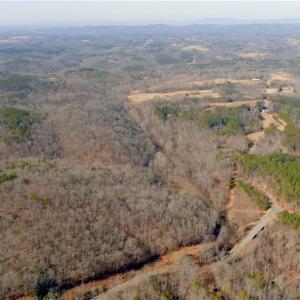 Photo #30 of 3311 NC Highway 66, Westfield, NC 62.3 acres