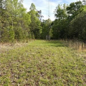 Photo #23 of 521 Matrimony, Eden, NC 30.4 acres