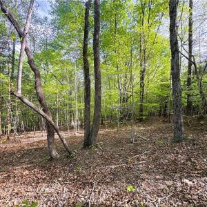 Photo #16 of 521 Matrimony, Eden, NC 30.4 acres