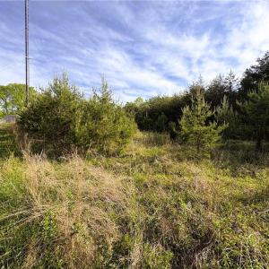 Photo #12 of 521 Matrimony, Eden, NC 30.4 acres