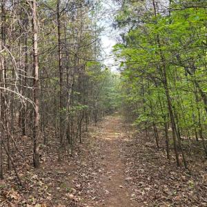 Photo #26 of 521 Matrimony, Eden, NC 30.4 acres