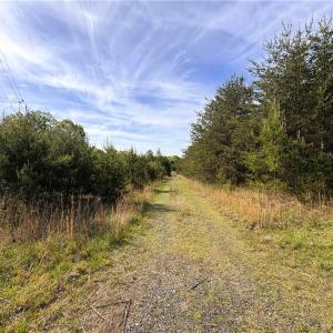 Photo #36 of 521 Matrimony, Eden, NC 30.4 acres