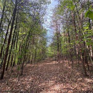 Photo #32 of 521 Matrimony, Eden, NC 30.4 acres