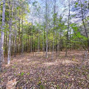 Photo #1 of 521 Matrimony, Eden, NC 30.4 acres