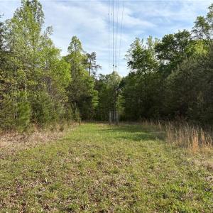 Photo #24 of 521 Matrimony, Eden, NC 30.4 acres