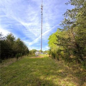 Photo #34 of 521 Matrimony, Eden, NC 30.4 acres