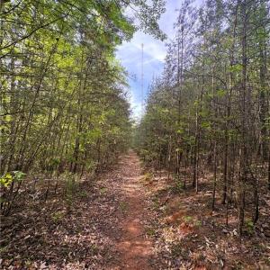 Photo #33 of 521 Matrimony, Eden, NC 30.4 acres