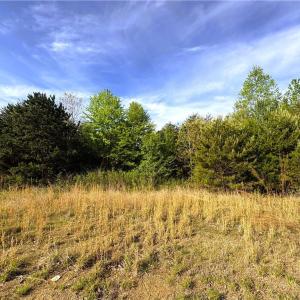 Photo #14 of 521 Matrimony, Eden, NC 30.4 acres