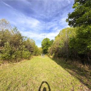 Photo #15 of 521 Matrimony, Eden, NC 30.4 acres