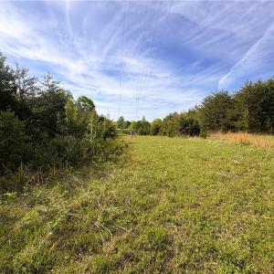 Photo #35 of 521 Matrimony, Eden, NC 30.4 acres