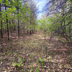 Photo #21 of 521 Matrimony, Eden, NC 30.4 acres