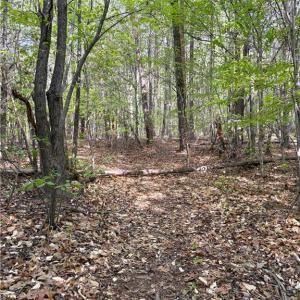 Photo #27 of 521 Matrimony, Eden, NC 30.4 acres