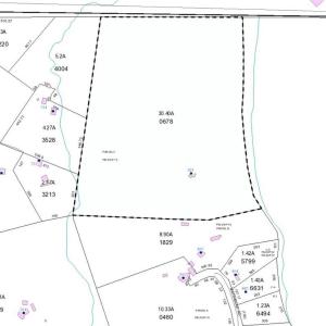 Photo #2 of 521 Matrimony, Eden, NC 30.4 acres