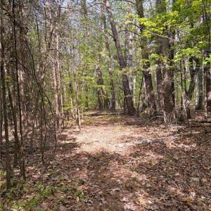 Photo #29 of 521 Matrimony, Eden, NC 30.4 acres