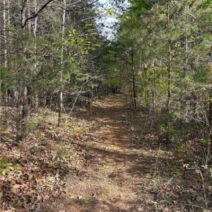 Photo #25 of 521 Matrimony, Eden, NC 30.4 acres