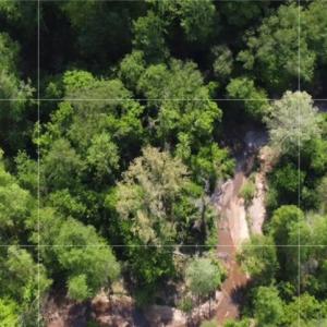 Photo #3 of 293 Preacher, Reidsville, NC 88.5 acres