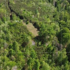 Photo #4 of 293 Preacher, Reidsville, NC 88.5 acres