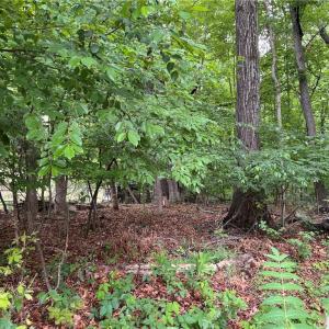 Photo #2 of 2002 Kello, Greensboro, NC 0.5 acres