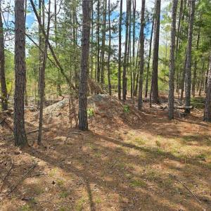 Photo #6 of Riverside, Seagrove, NC 24.4 acres