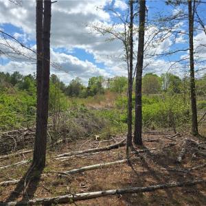 Photo #12 of Riverside, Seagrove, NC 24.4 acres
